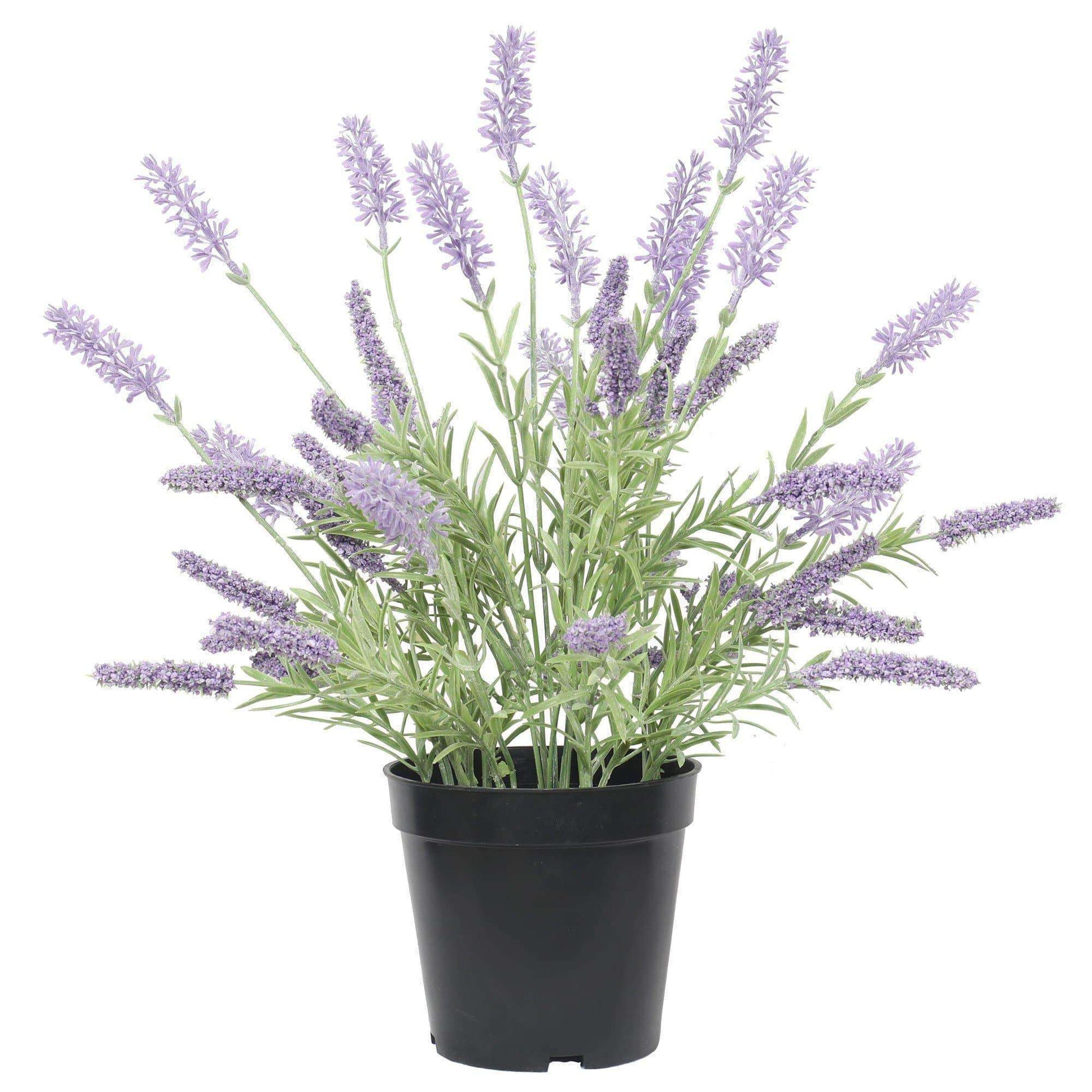 places to buy lavender plants Artificial Lavender Plant in a Pot 40cm – No Grow Co