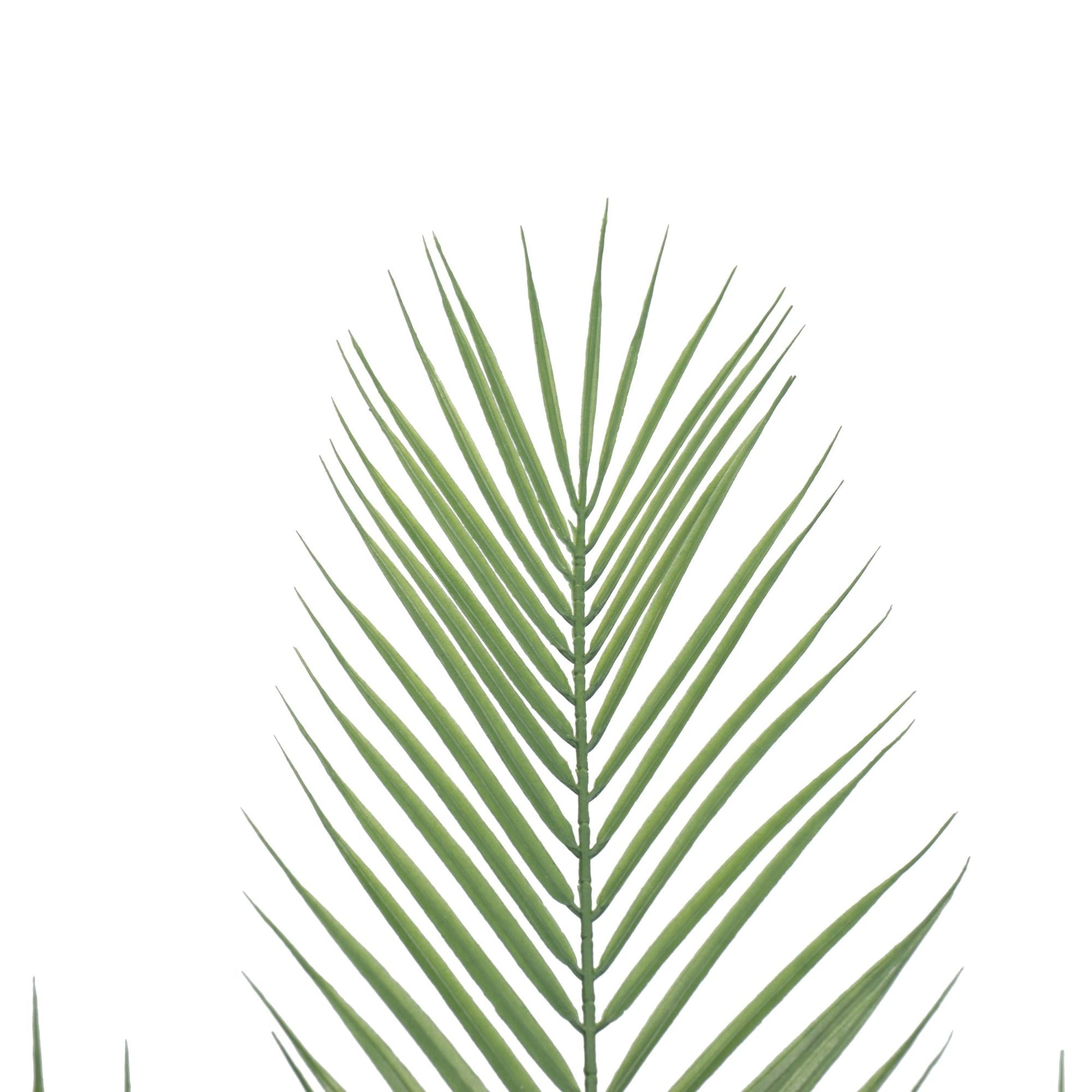 Artificial Phoenix Palm Plant 80cm-2