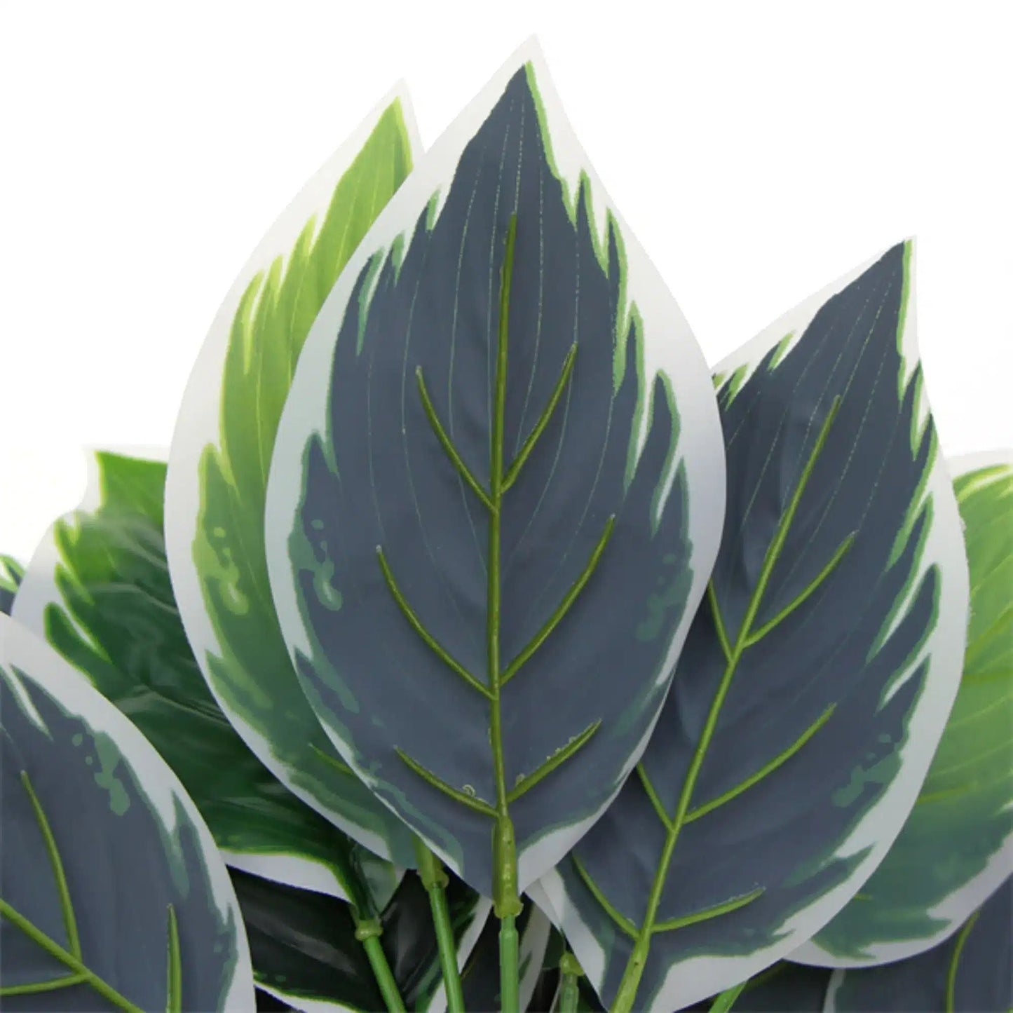 Dense Potted Artificial Calathea Plant 35cm-3