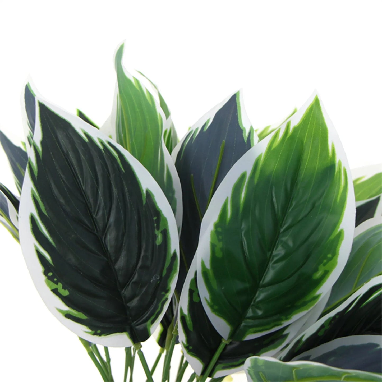 Dense Potted Artificial Calathea Plant 35cm-2