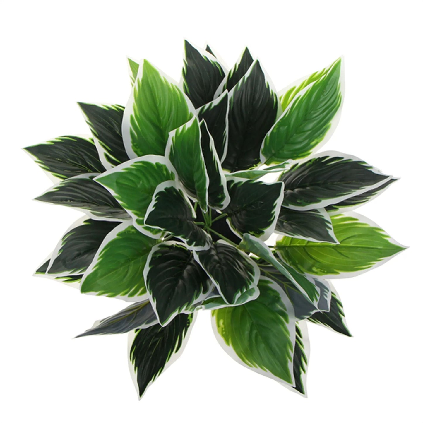 Dense Potted Artificial Calathea Plant 35cm-4