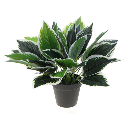 Dense Potted Artificial Calathea Plant 35cm-0